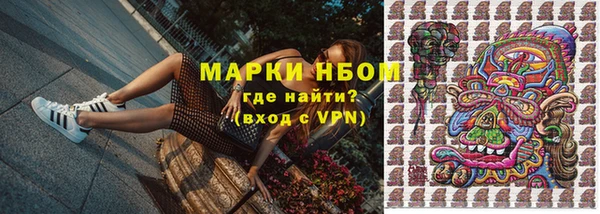 шишки Алексин