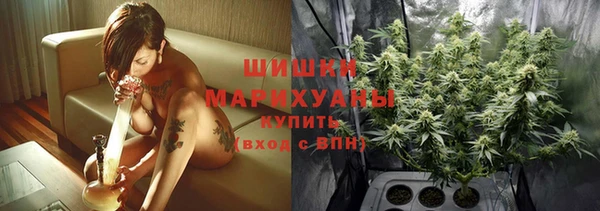 шишки Алексин
