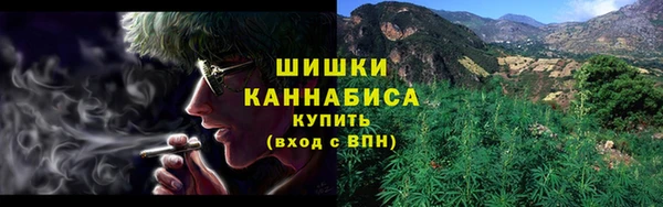 шишки Алексин