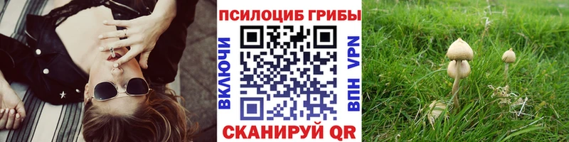 Галлюциногенные грибы MAGIC MUSHROOMS Павловская